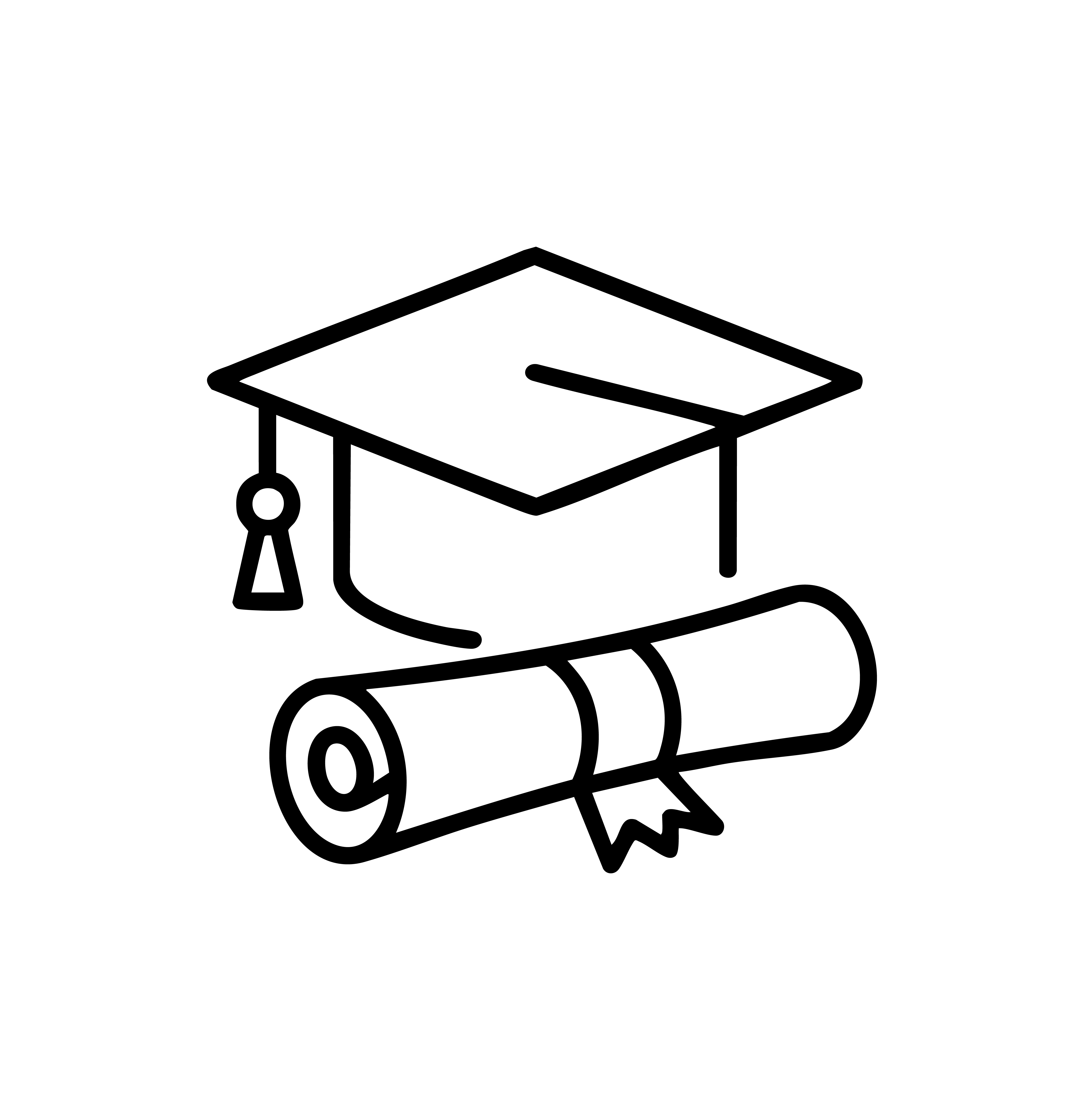 Expert Instructors Icon
